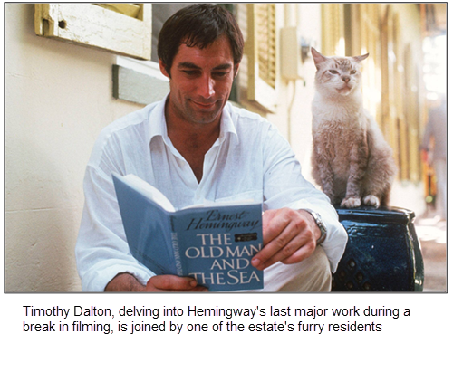 Timothy Dalton and a Hemingway cat